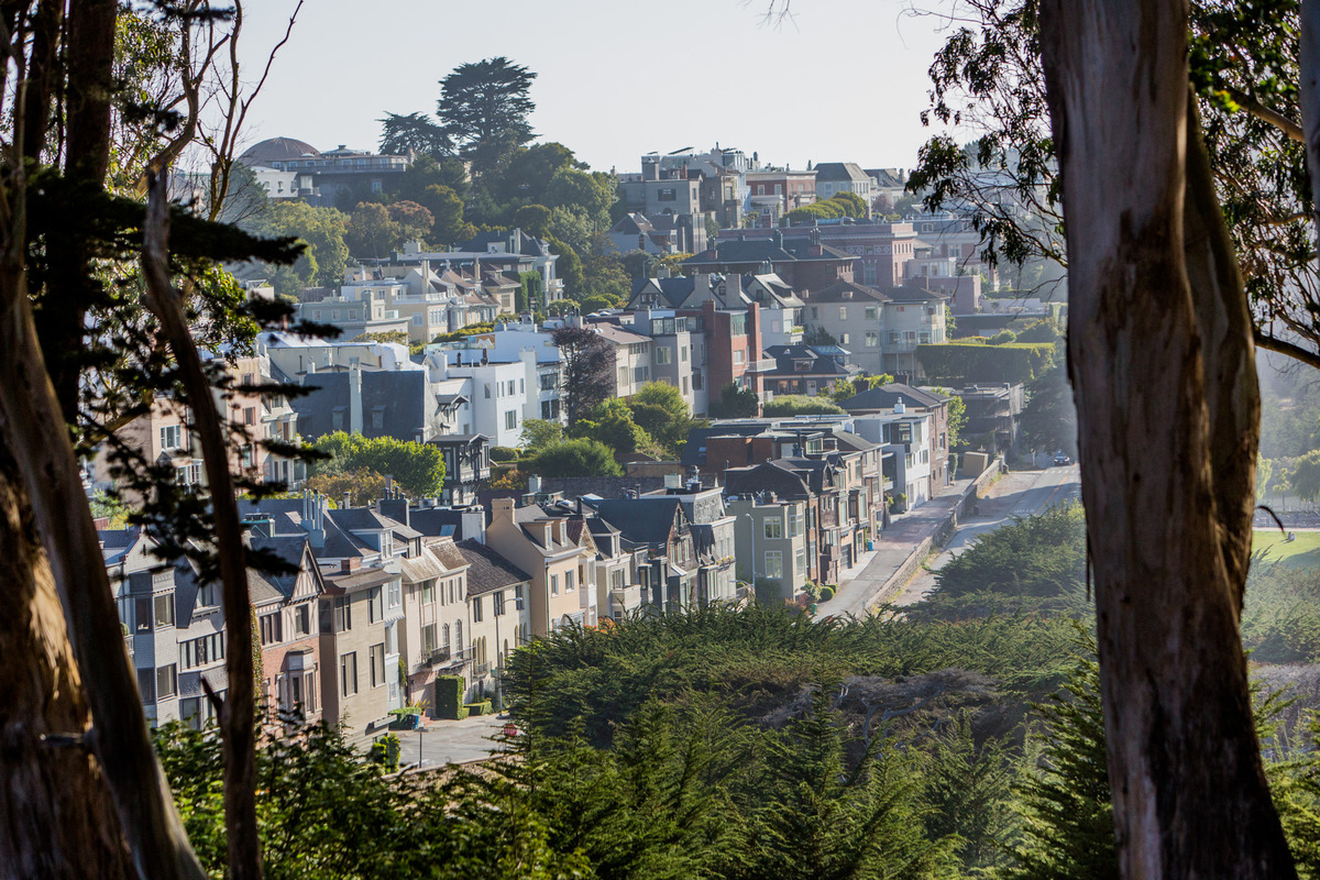 SF hillside